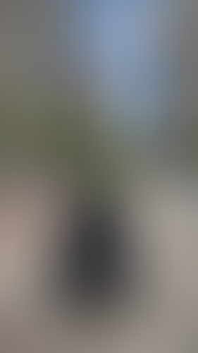 Geblurrte Content-Vorschau