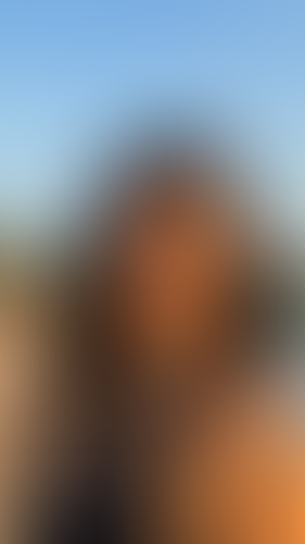 Geblurrte Content-Vorschau