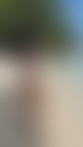 Geblurrte Content-Vorschau