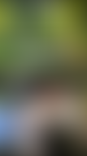 Geblurrte Content-Vorschau