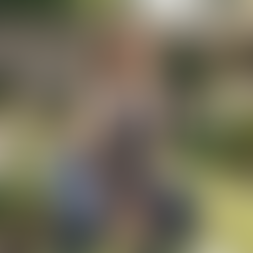 Geblurrte Content-Vorschau