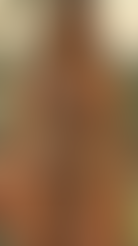 Geblurrte Content-Vorschau
