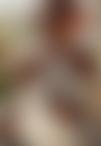Blurred content preview