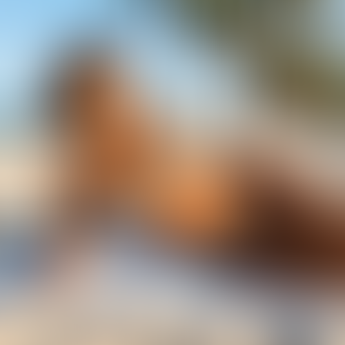 Blurred content preview