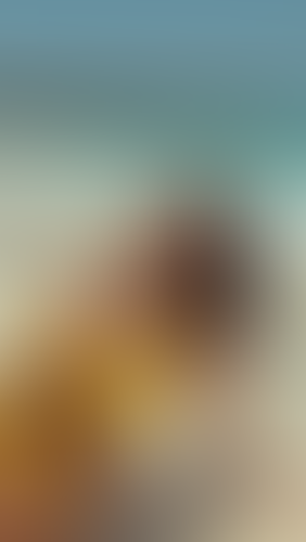 Blurred content preview