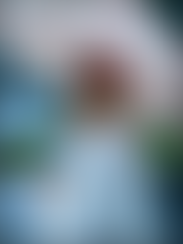 Geblurrte Content-Vorschau