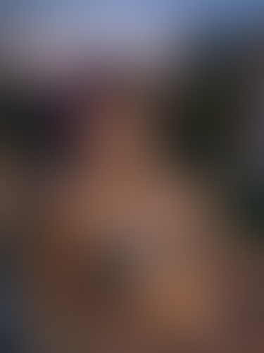 Geblurrte Content-Vorschau
