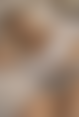 Geblurrte Content-Vorschau