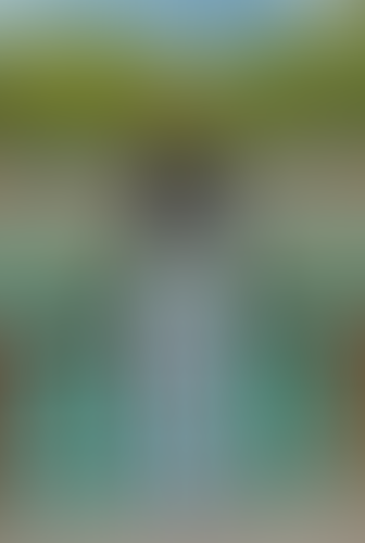Blurred content preview