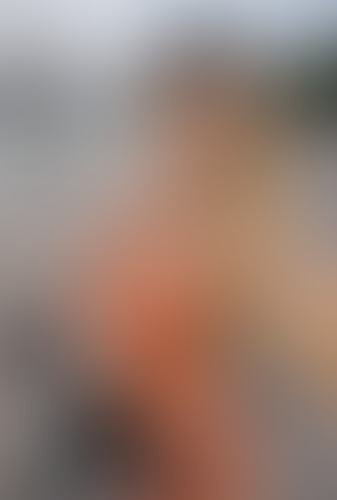 Blurred content preview