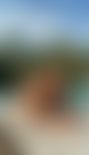 Blurred content preview