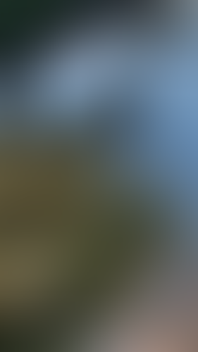 Geblurrte Content-Vorschau
