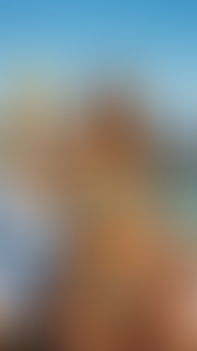 Geblurrte Content-Vorschau
