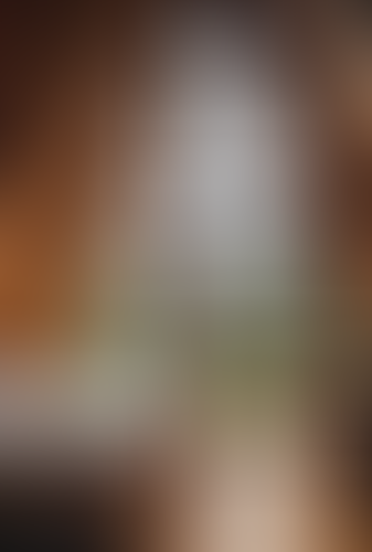 Blurred content preview