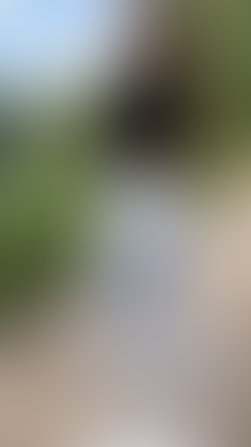 Geblurrte Content-Vorschau