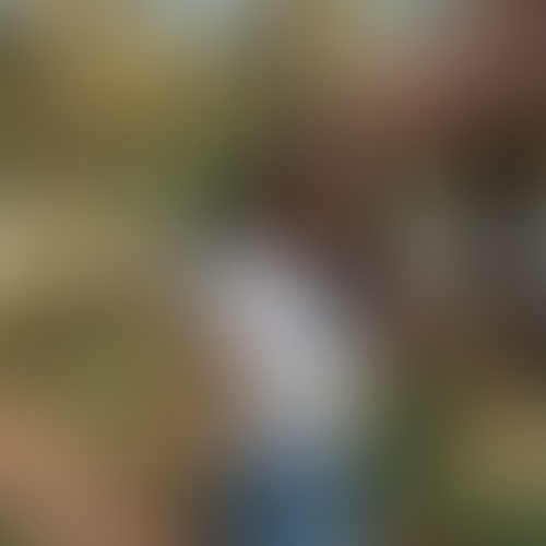 Geblurrte Content-Vorschau