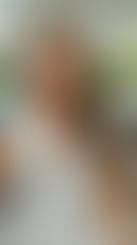 Geblurrte Content-Vorschau