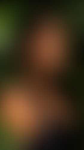 Blurred content preview