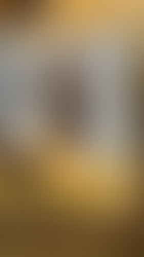 Geblurrte Content-Vorschau