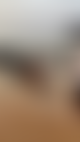Geblurrte Content-Vorschau