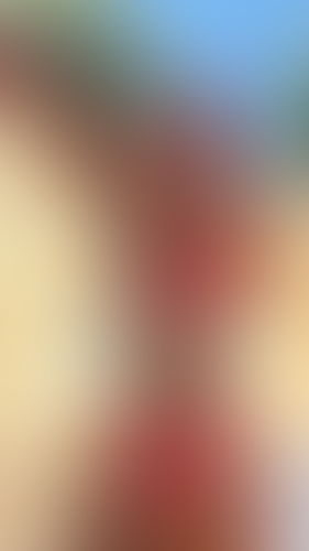 Geblurrte Content-Vorschau