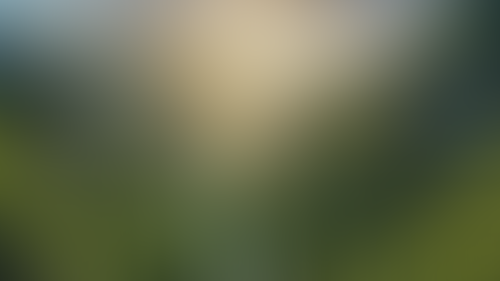Geblurrte Content-Vorschau