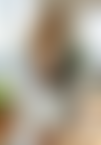 Geblurrte Content-Vorschau
