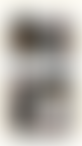 Geblurrte Content-Vorschau