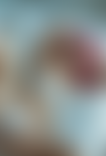 Blurred content preview