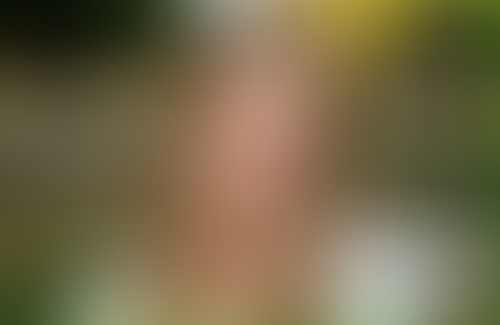 Geblurrte Content-Vorschau