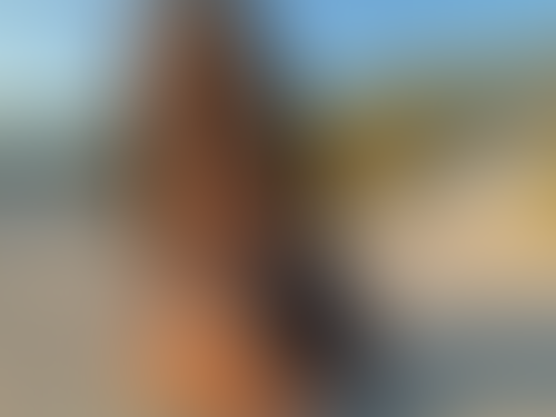 Geblurrte Content-Vorschau