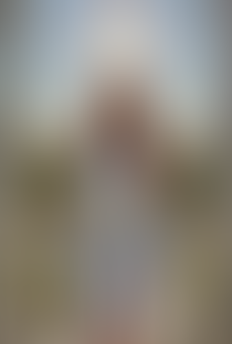 Blurred content preview