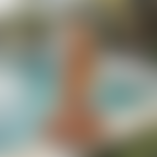 Blurred content preview