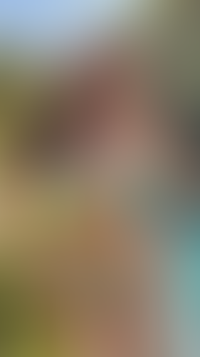 Geblurrte Content-Vorschau