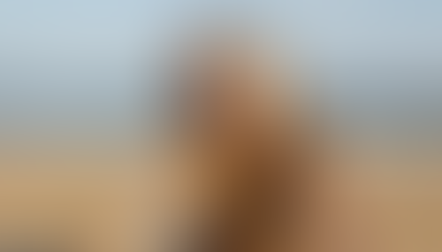 Blurred content preview