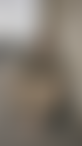Geblurrte Content-Vorschau
