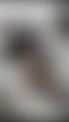 Geblurrte Content-Vorschau