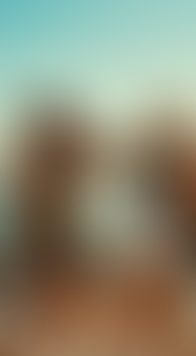 Blurred content preview