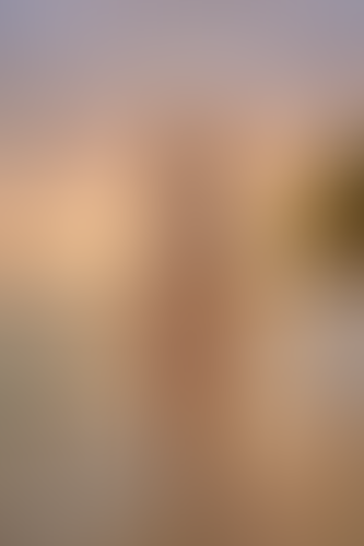 Geblurrte Content-Vorschau
