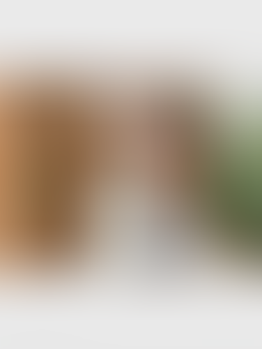 Geblurrte Content-Vorschau