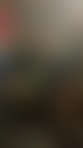 Geblurrte Content-Vorschau