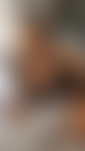 Geblurrte Content-Vorschau