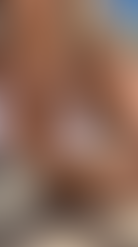 Geblurrte Content-Vorschau