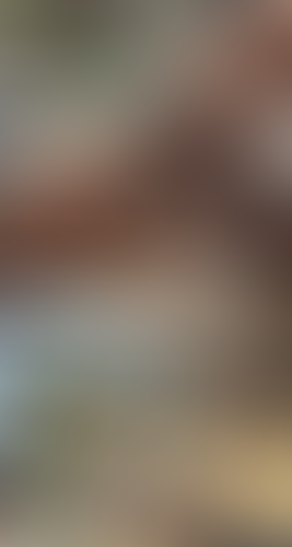 Geblurrte Content-Vorschau