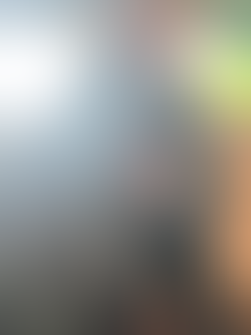 Blurred content preview