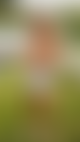 Geblurrte Content-Vorschau