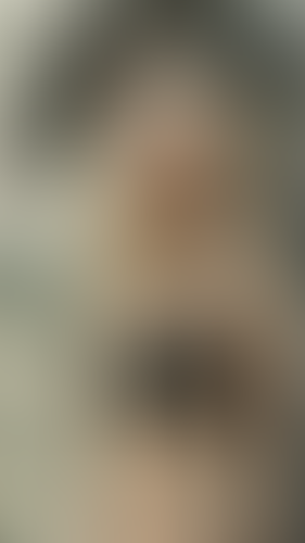Geblurrte Content-Vorschau