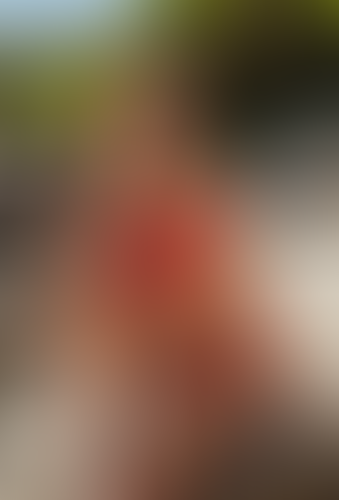 Blurred content preview