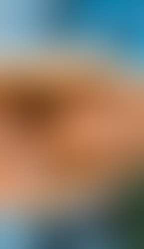 Blurred content preview