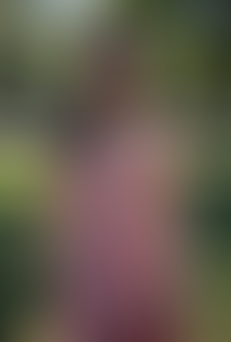 Geblurrte Content-Vorschau